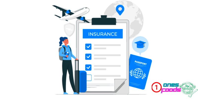 Key Coverage Areas for Travel Insurance for Cultural Exchange Programs