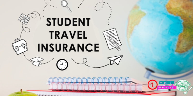 Travel Insurance for Cultural Exchange Programs