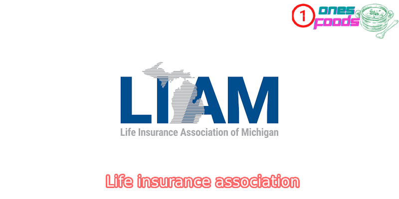 The meaning and role of Life insurance association in the life insurance industry