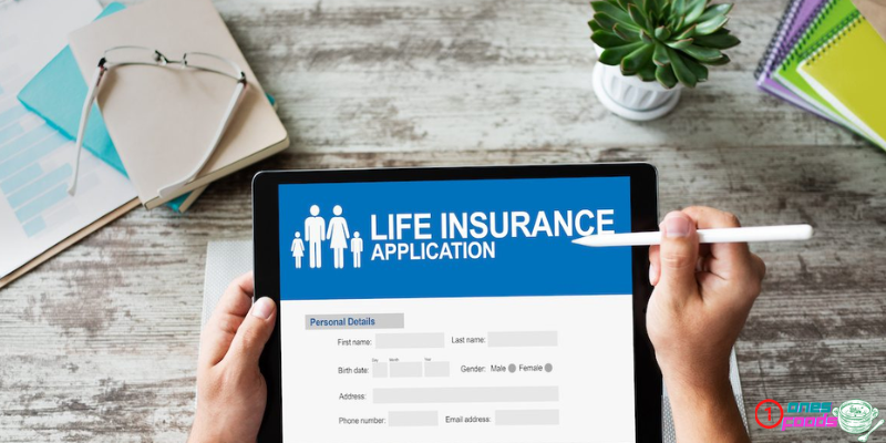 Understanding Life Insurance Statistics