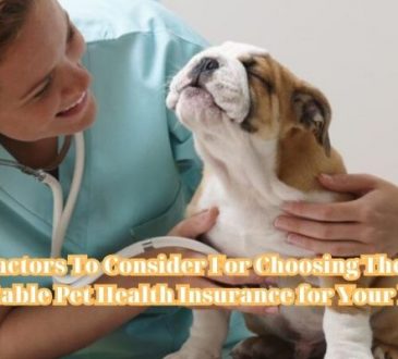 The Factors To Consider For Choosing The Most Suitable Pet Health Insurance for Your Dog