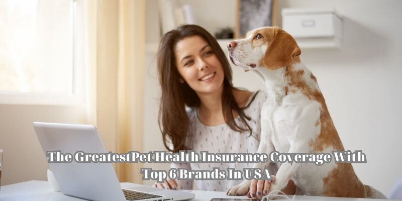 The GreatestPet Health Insurance Coverage With Top 6 Brands In USA
