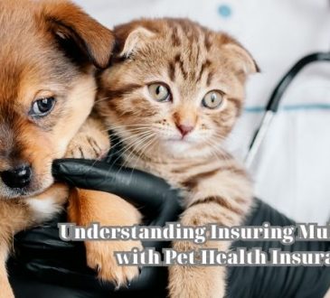 Understanding Insuring Multiple Pets with Pet Health Insurance